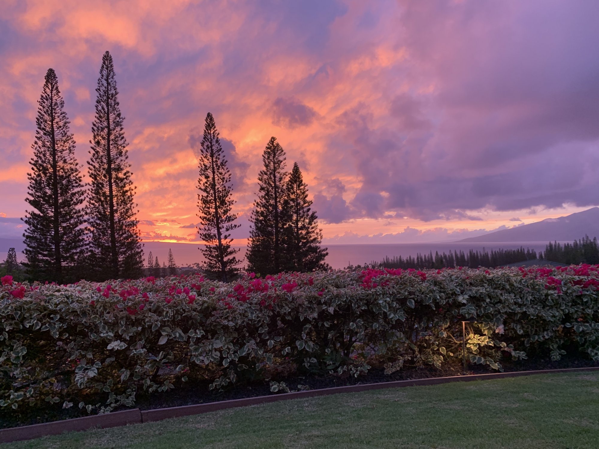 Kapalua Home for Sale